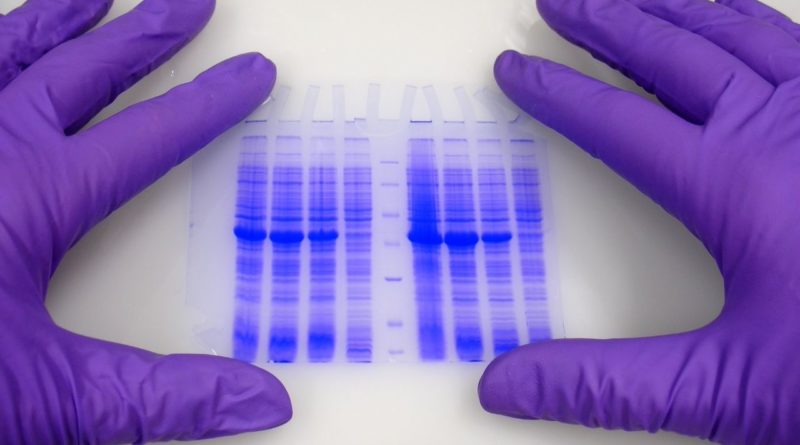 En İyi DNA Ölçüm Yöntemini Seçme